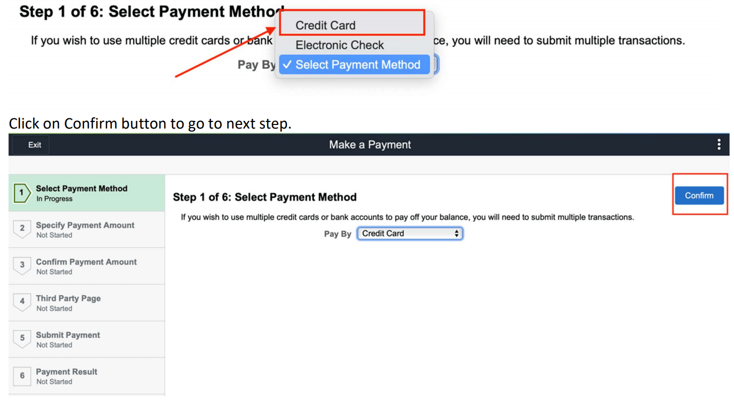 Fees and Making a Payment
